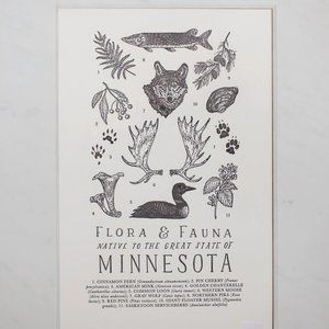 Minnesota Field Guide, The Wild Wander Flora & Fauna of MN